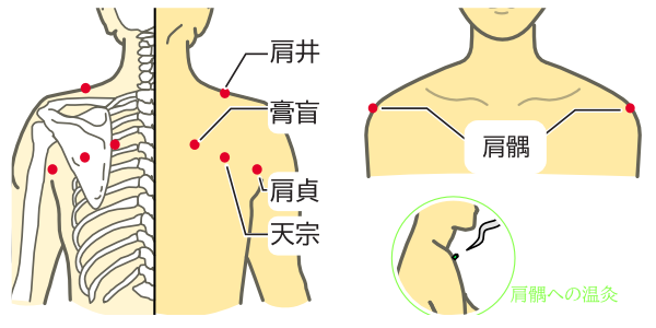 肩井、膏盲、肩貞、天宗の画像
