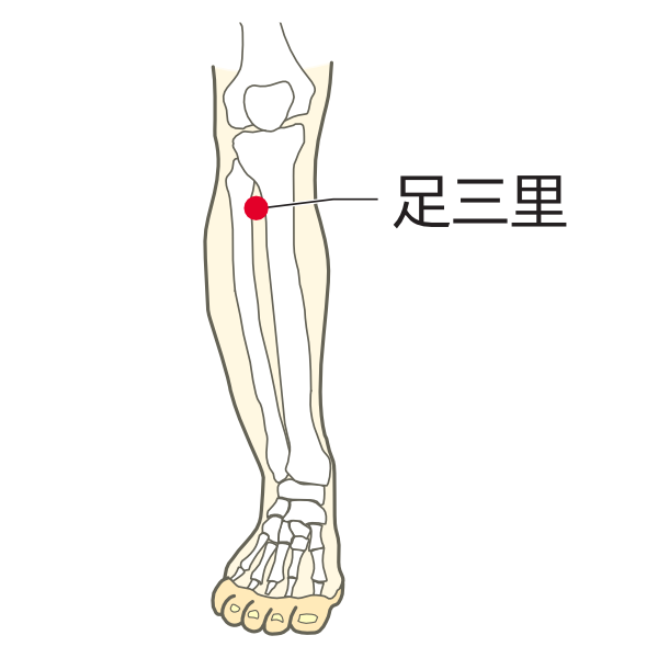 足三里のツボ