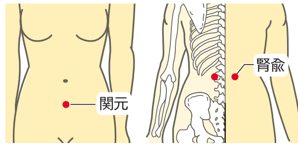 関元と腎兪のツボ