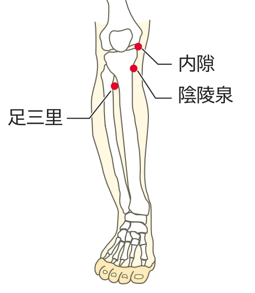 内隙、陰陵泉、足三里