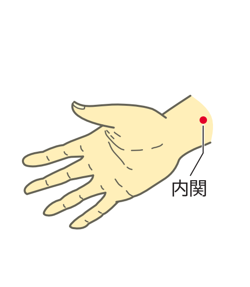 内関の画像