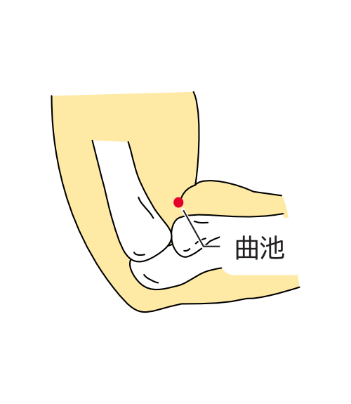 曲池の画像