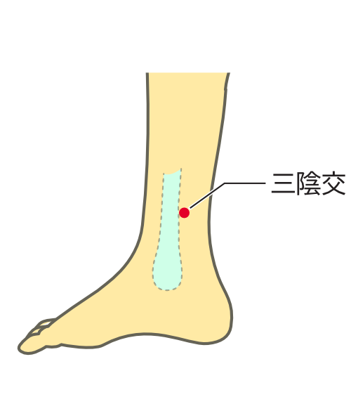 三陰交の画像