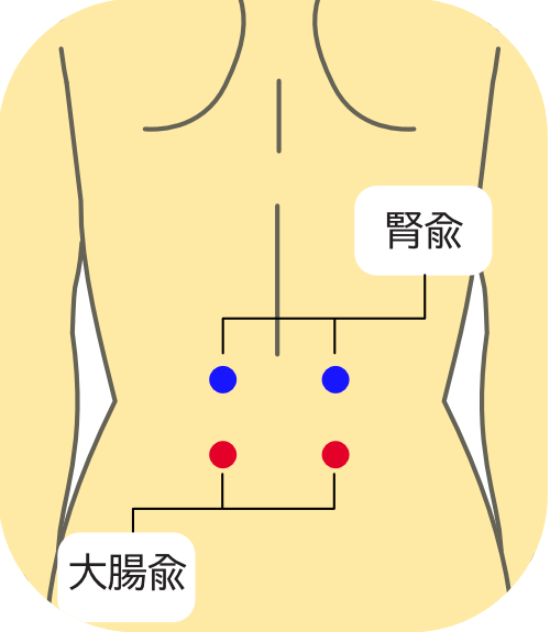 腎兪の画像
