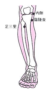 内隙、陰陵泉、足三里